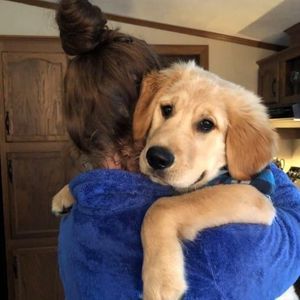 Meet your Posher, Kaylee